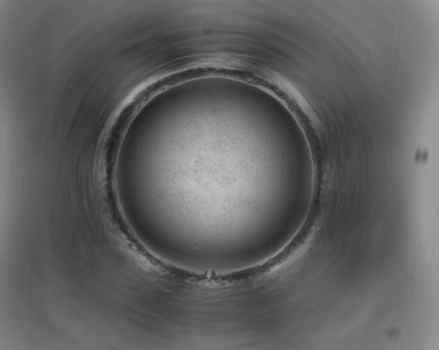 X0000096730923200802051436