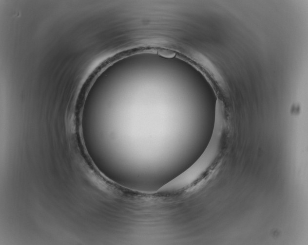 X0000096730924200802051436