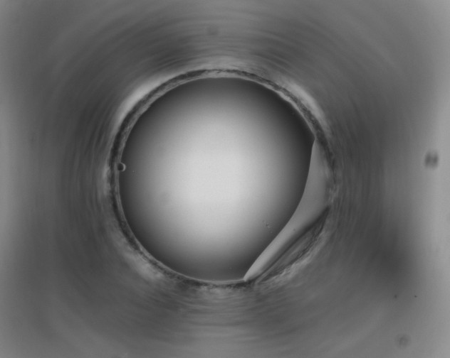 X0000096730928200802051437