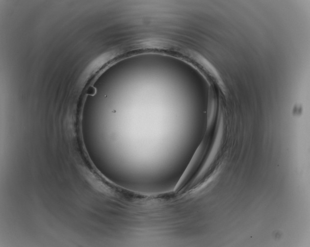 X0000096730930200802051437
