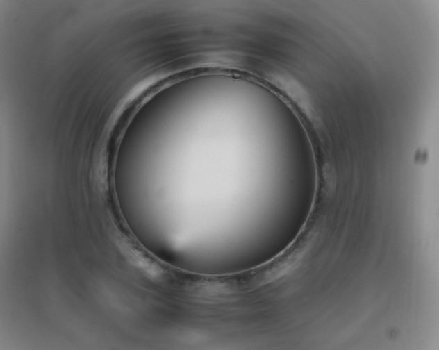 X0000096730931200802051437