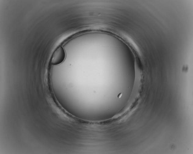 X0000096730932200802051437