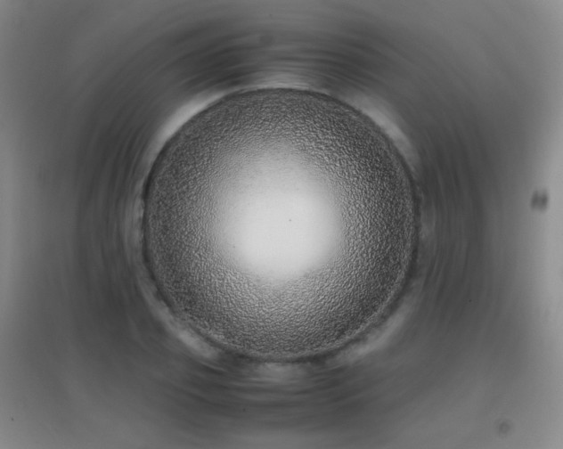 X0000096730933200802051437
