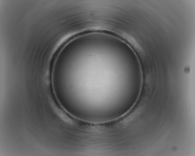 X0000096730934200802051437
