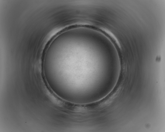 X0000096730935200802051437
