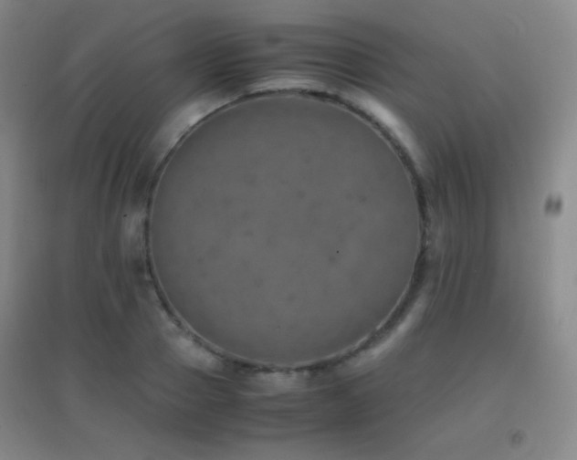X0000096730937200802051437