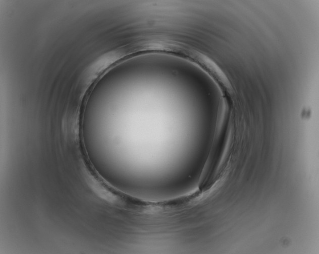 X0000096730938200802051437