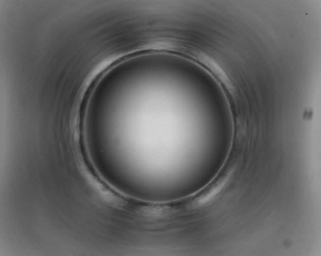 X0000096730939200802051437