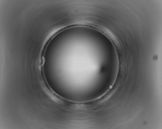 X0000096730940200802051437