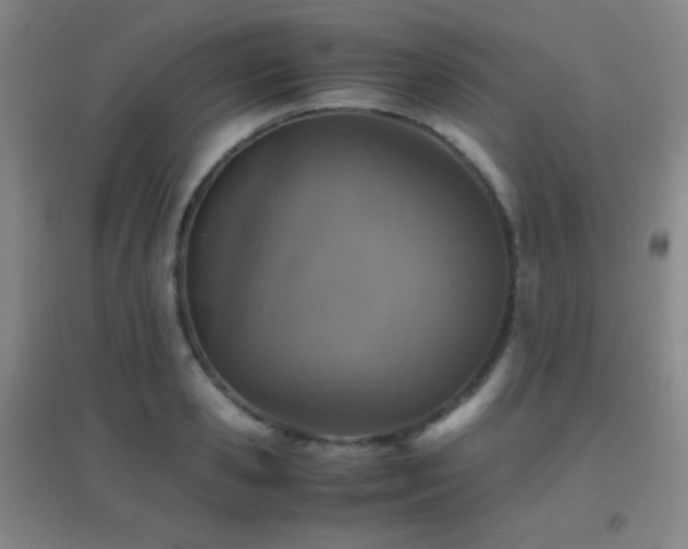 X0000096730941200802051437