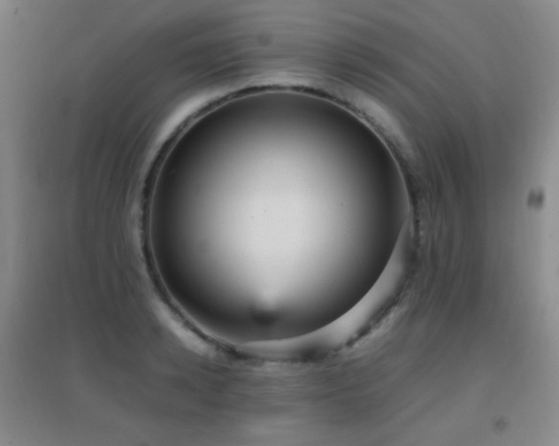 X0000096730942200802051437