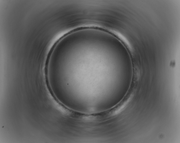 X0000096730943200802051437
