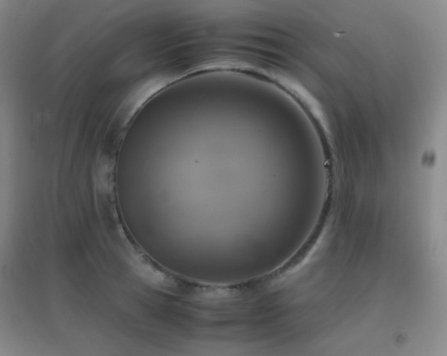 X0000096730945200802051437