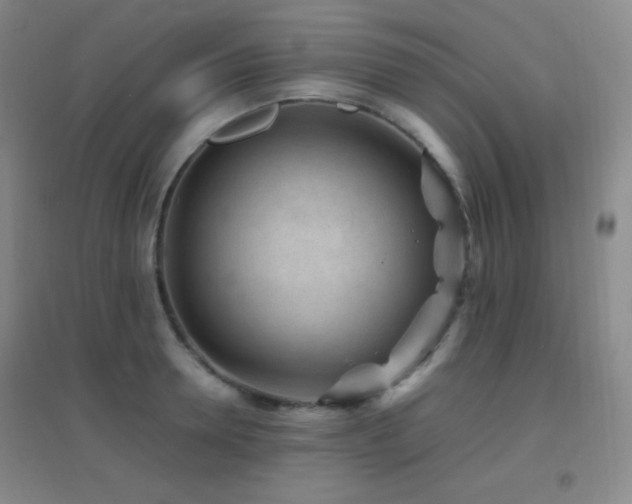 X0000096730946200802051437