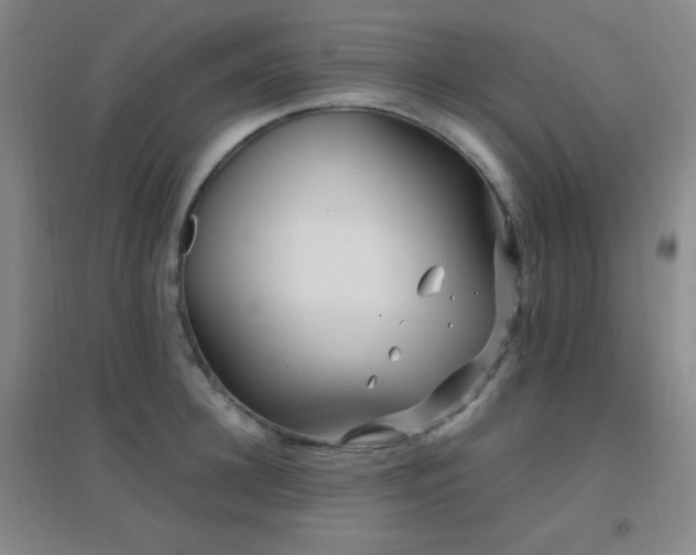 X0000096730948200802051437