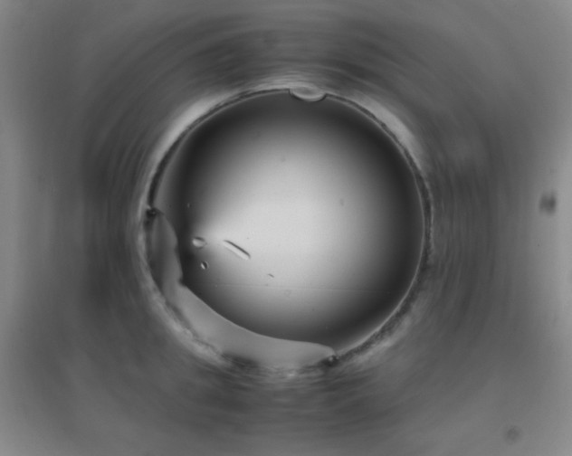 X0000096730949200802051437