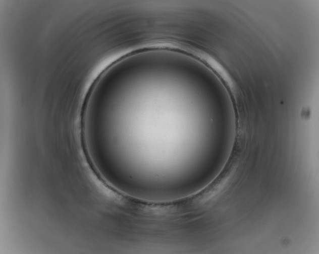 X0000096730951200802051437