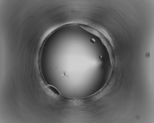 X0000096730952200802051437