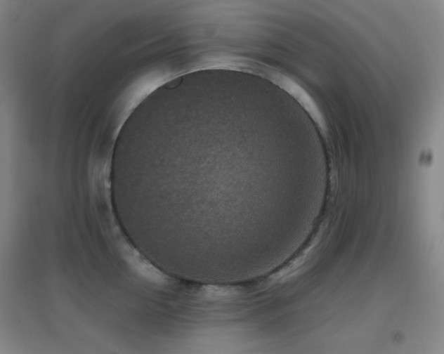 X0000096730954200802051437