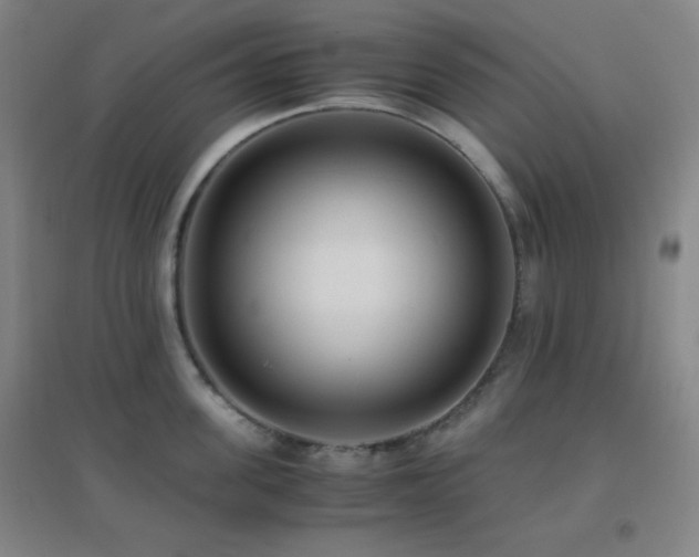 X0000096730955200802051437