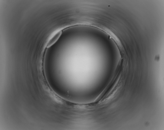X0000096730956200802051437