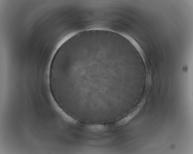 X0000096730957200802051437