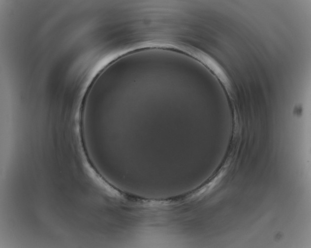 X0000096730958200802051437