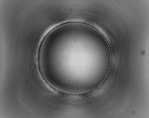 X0000096730959200802051437