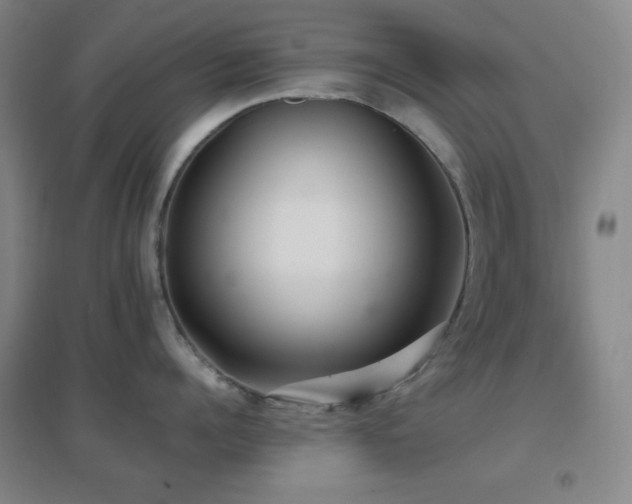 X0000096730960200802051437