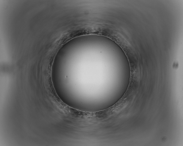X0000096730961200802051436