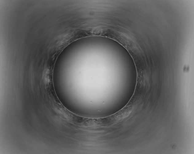 X0000096730962200802051436