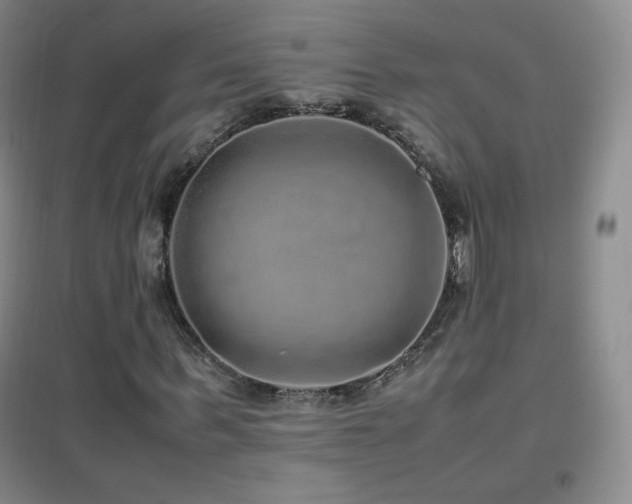 X0000096730963200802051436