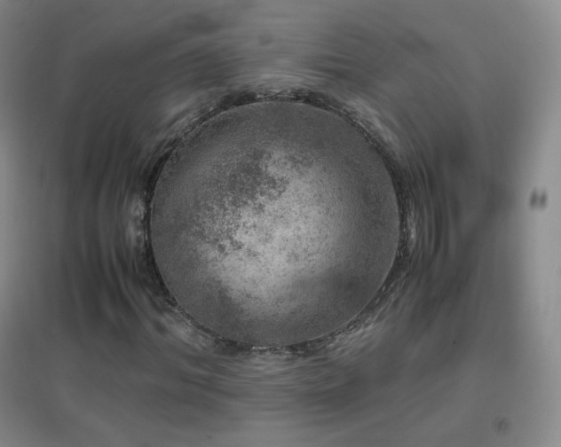 X0000096730964200802051436