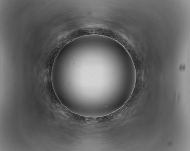 X0000096730965200802051436