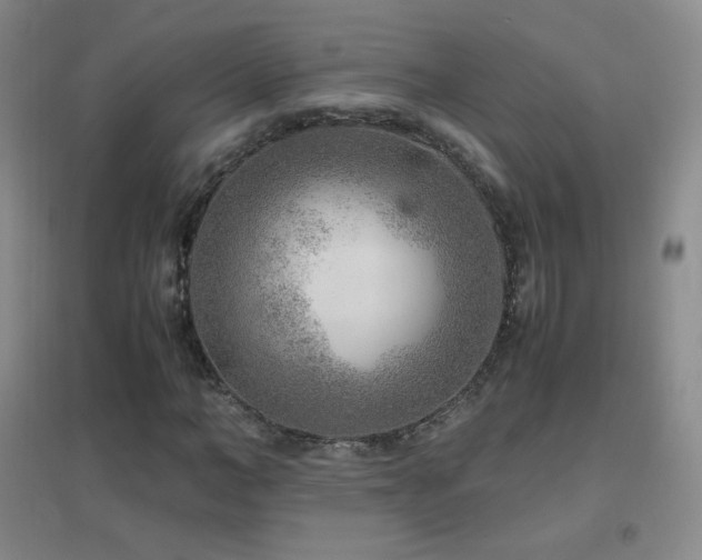 X0000096730966200802051436