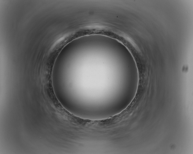 X0000096730967200802051436