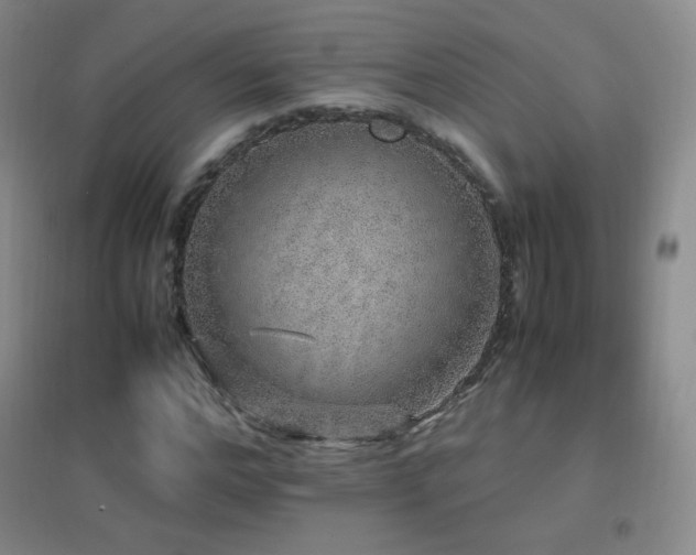 X0000096730968200802051436