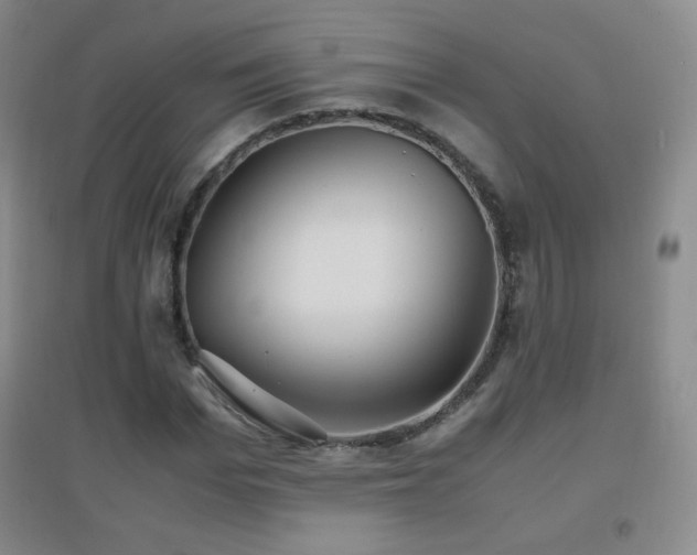 X0000096730969200802051436