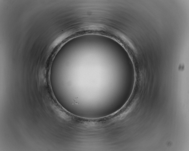 X0000096730970200802051436