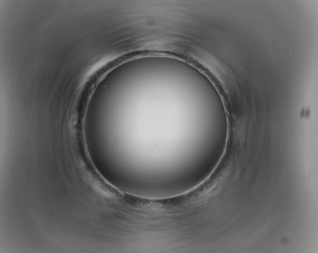 X0000096730971200802051436