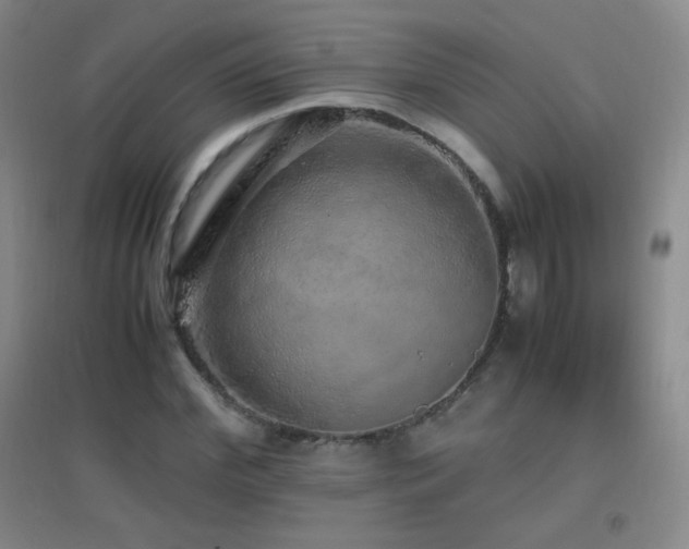 X0000096730972200802051436
