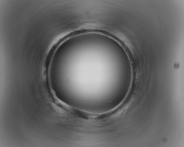 X0000096730973200802051436