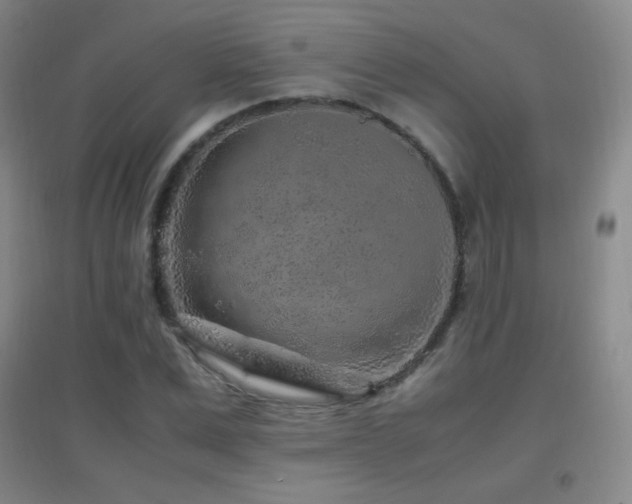 X0000096730975200802051436
