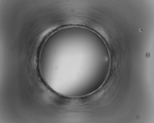 X0000096730979200802051436
