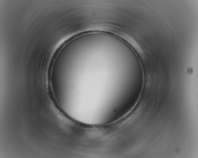 X0000096730980200802051436