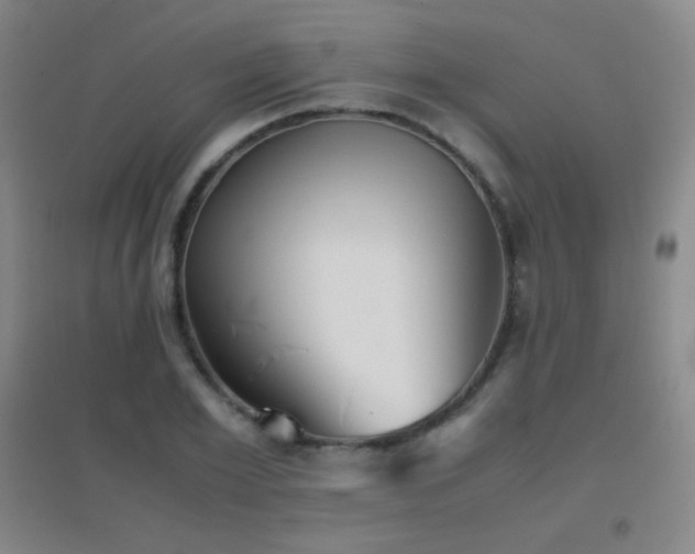 X0000096730981200802051436