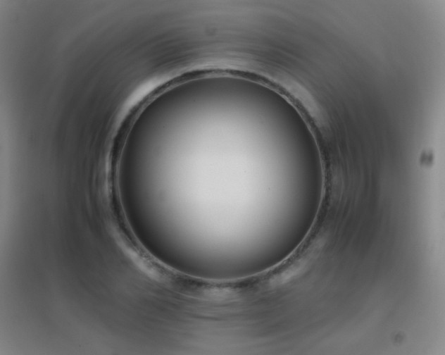 X0000096730982200802051436