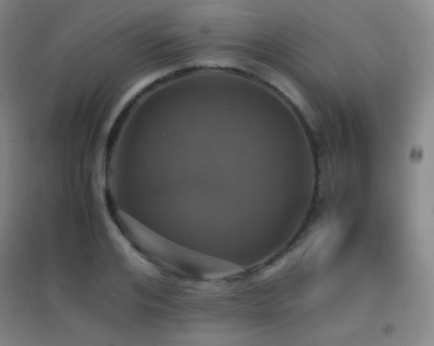 X0000096730984200802051436