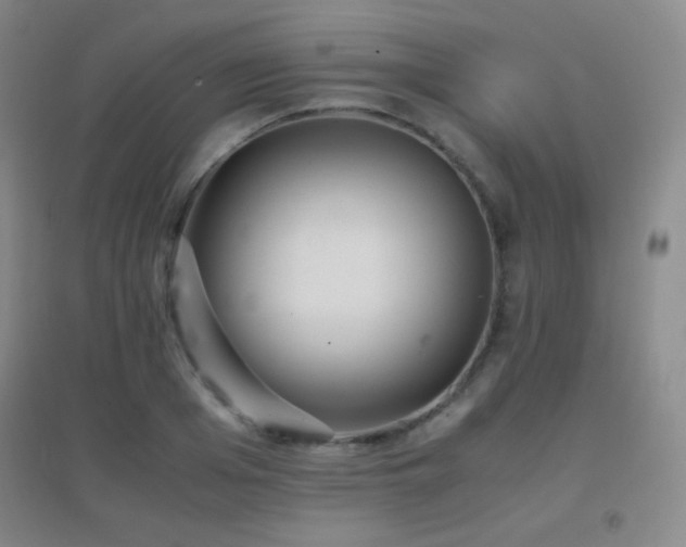 X0000096730985200802051436