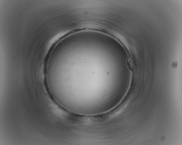 X0000096730987200802051436